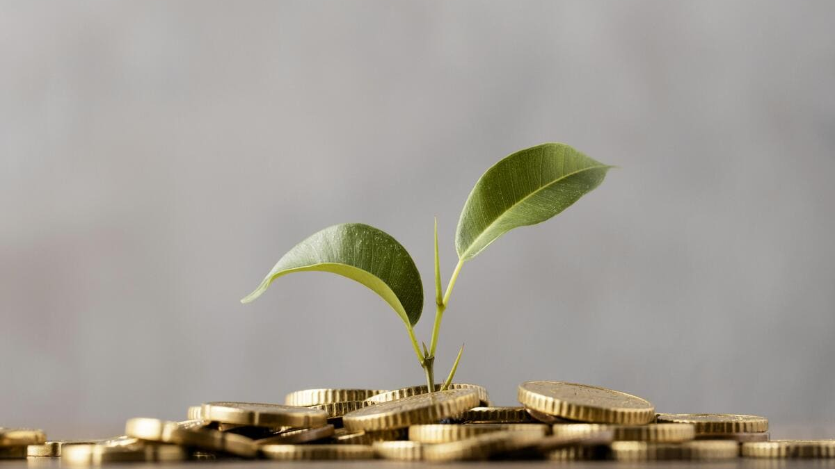 Pequena planta brotando sobre uma pilha de moedas, simbolizando crescimento e rendimentos do Tesouro Selic